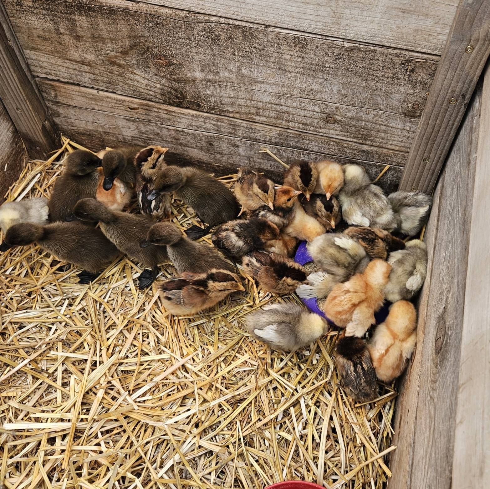 New winter hours at Jordan's Garden Center