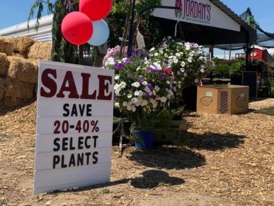Jordan's Garden Center entrance and produce